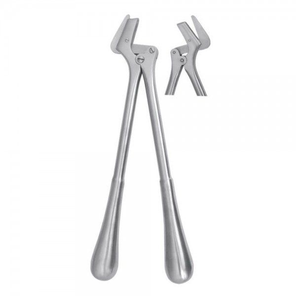 Plaster Shears (Stille)